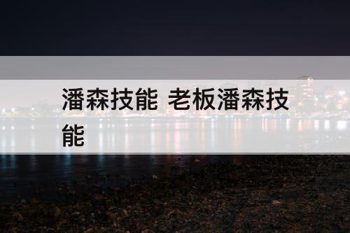 潘森技能 老板潘森技能