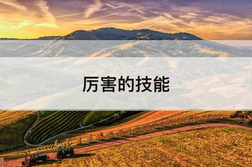 厉害的技能