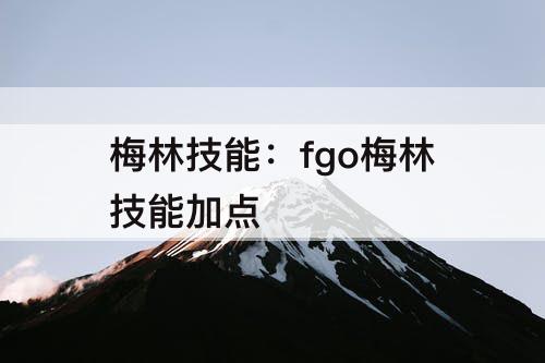 梅林技能：fgo梅林技能加点