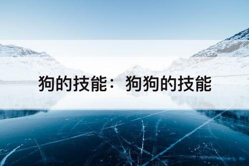 狗的技能：狗狗的技能