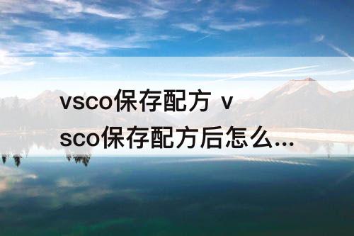 vsco保存配方 vsco保存配方后怎么使用