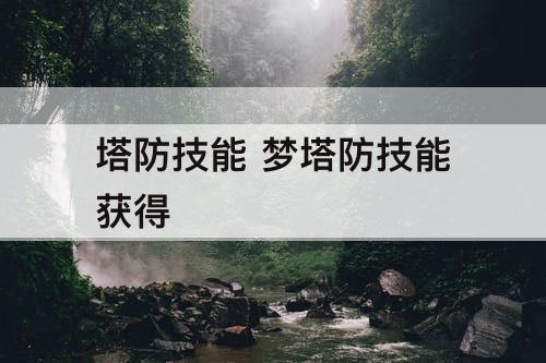 塔防技能 梦塔防技能获得