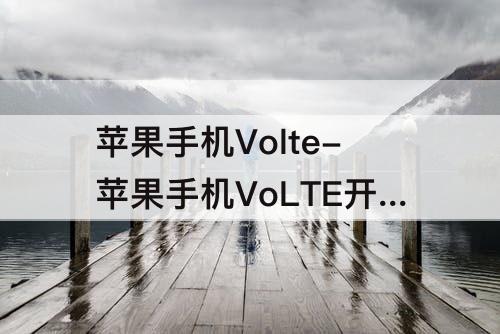 苹果手机Volte-苹果手机VoLTE开关