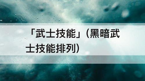 「武士技能」(黑暗武士技能排列)
