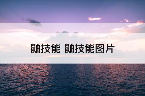 鼬技能 鼬技能图片