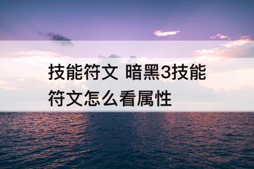 技能符文 暗黑3技能符文怎么看属性