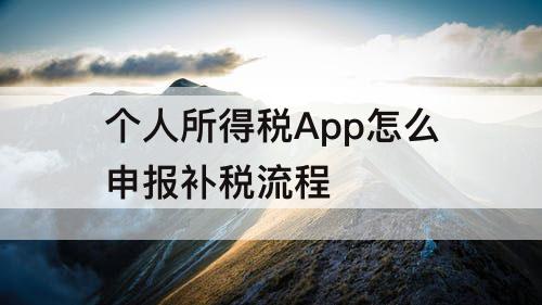 个人所得税App怎么申报补税流程