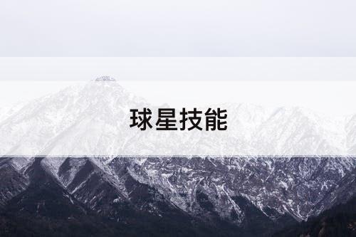 球星技能