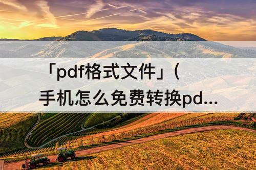 「pdf格式文件」(手机怎么免费转换pdf格式文件)
