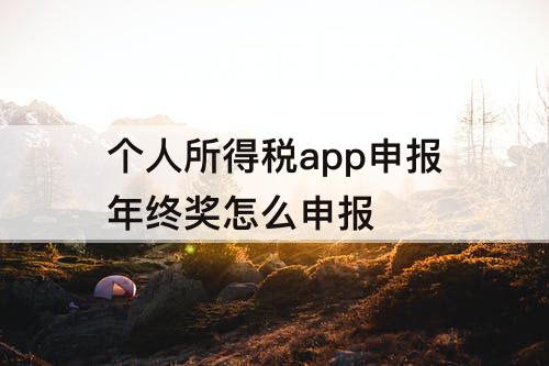 个人所得税app申报年终奖怎么申报