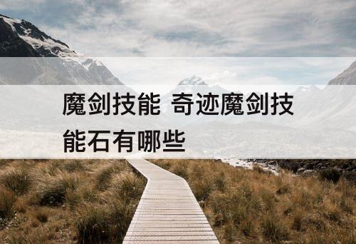 魔剑技能 奇迹魔剑技能石有哪些