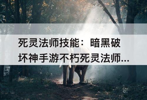 死灵法师技能：暗黑破坏神手游不朽死灵法师技能