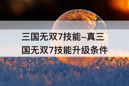 三国无双7技能-真三国无双7技能升级条件
