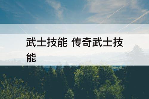 武士技能 传奇武士技能