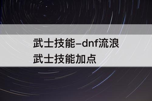 武士技能-dnf流浪武士技能加点