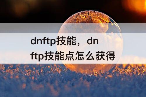 dnftp技能，dnftp技能点怎么获得