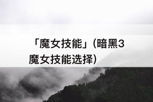 「魔女技能」(暗黑3魔女技能选择)