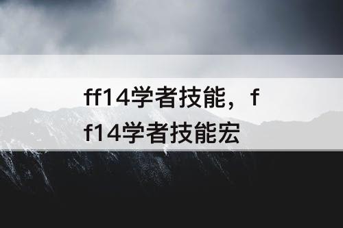 ff14学者技能，ff14学者技能宏