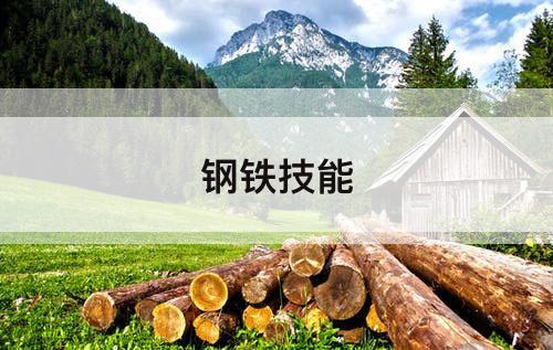 钢铁技能