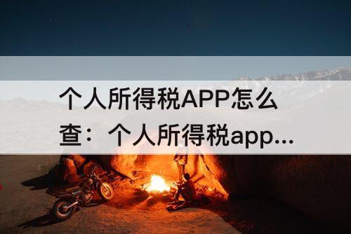个人所得税APP怎么查：个人所得税app怎么查个人所得税补退税