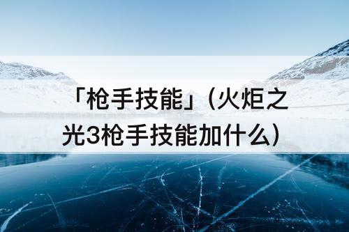 「枪手技能」(火炬之光3枪手技能加什么)