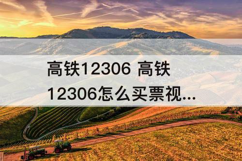 高铁12306 高铁12306怎么买票视频