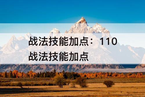 战法技能加点：110战法技能加点