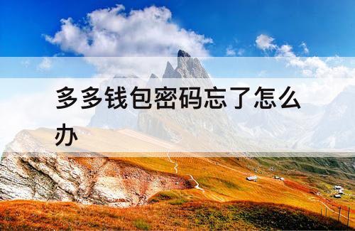 多多钱包密码忘了怎么办