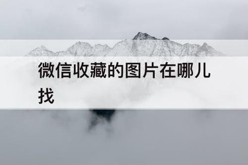 微信收藏的图片在哪儿找