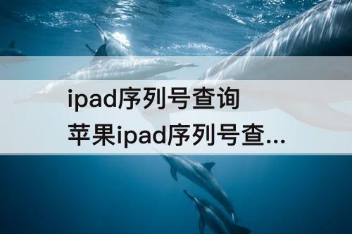 ipad序列号查询 苹果ipad序列号查询结果显示请激活