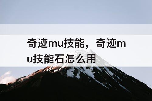 奇迹mu技能，奇迹mu技能石怎么用