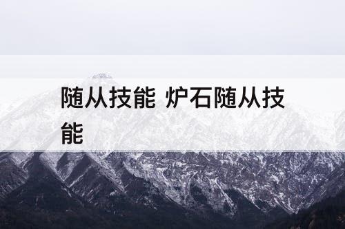 随从技能 炉石随从技能