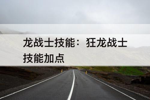 龙战士技能：狂龙战士技能加点