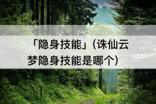 「隐身技能」(诛仙云梦隐身技能是哪个)