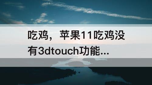 吃鸡，苹果11吃鸡没有3dtouch功能吗