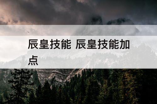 辰皇技能 辰皇技能加点