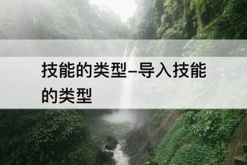 技能的类型-导入技能的类型