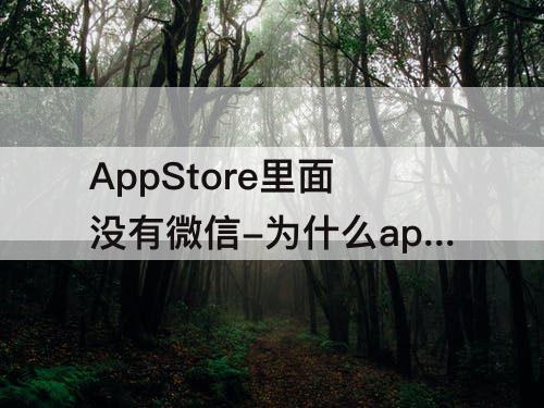 AppStore里面没有微信-为什么appstore里面没有微信