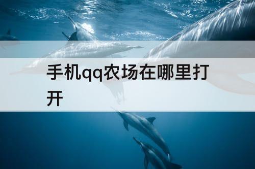 手机qq农场在哪里打开