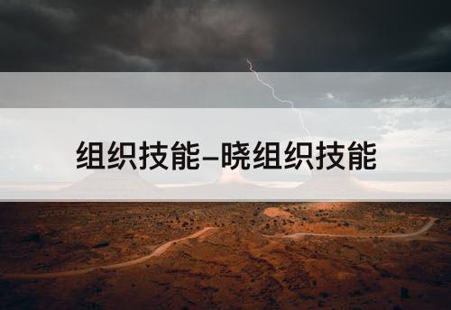 组织技能-晓组织技能