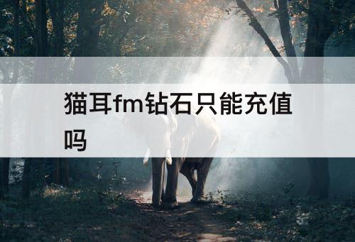 猫耳fm钻石只能充值吗