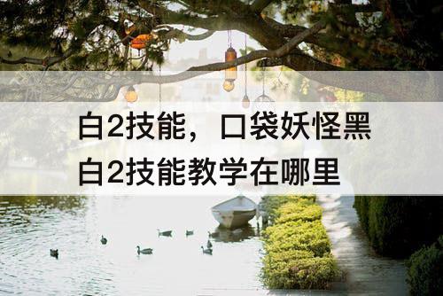 白2技能，口袋妖怪黑白2技能教学在哪里