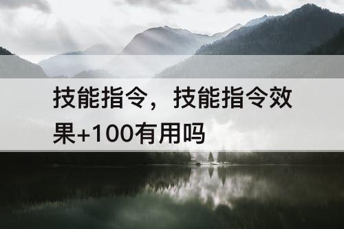 技能指令，技能指令效果+100有用吗
