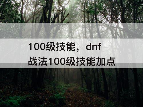 100级技能，dnf战法100级技能加点