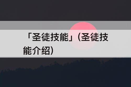 「圣徒技能」(圣徒技能介绍)