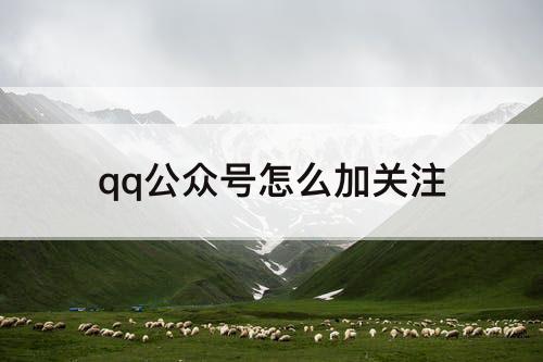 qq公众号怎么加关注