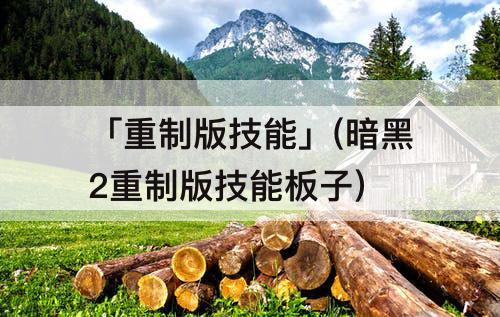 「重制版技能」(暗黑2重制版技能板子)