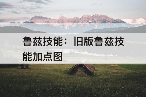鲁兹技能：旧版鲁兹技能加点图