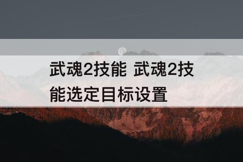 武魂2技能 武魂2技能选定目标设置