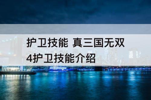 护卫技能 真三国无双4护卫技能介绍